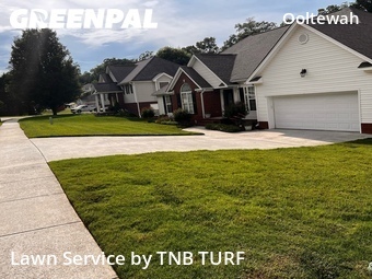 Yard Cutting nearby Ooltewah, TN, 