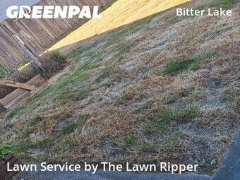 Lawn Mowing nearby Seattle, WA, 