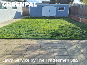Lawn Care Service nearby Concord, CA, 