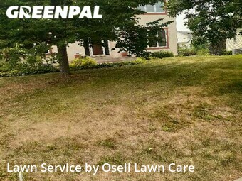 Lawn Mow nearby Osseo, MN, 