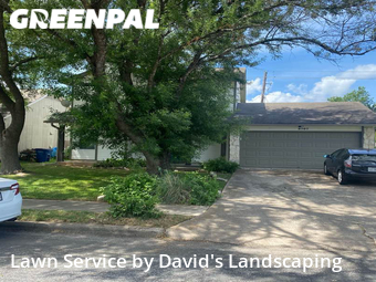 Grass Cut nearby Austin, TX, 