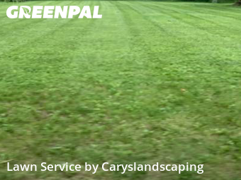 Yard Cutting nearby Twinsburg, OH, 