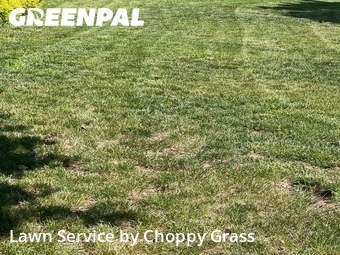 Lawn Service nearby Englewood Cliffs, NJ, 