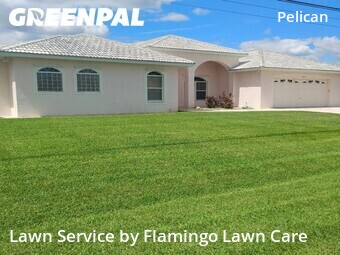 Landscape Design In Cape Coral,33914,Landscapers by Flamingo Lawn Care, work completed in Jun , 2026
