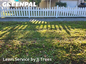 Lawn Cut nearby Clearwater, FL, 