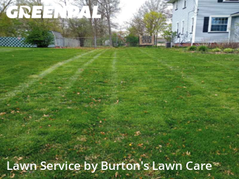 Lawn Mow nearby Youngstown, OH, 