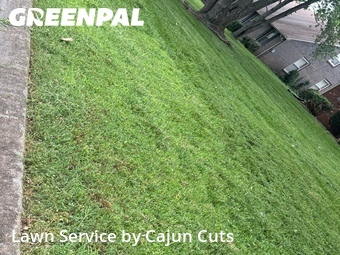 Yard Cutting nearby Murfreesboro, TN, 