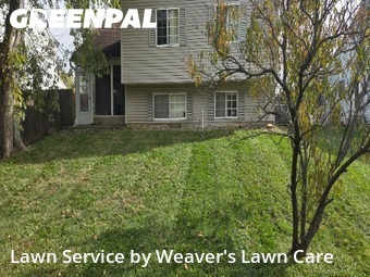 Yard Management in Greenwood, 46142, Weed Trimming by Weaver's Lawn Care , work completed in Dec , 2025