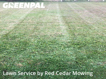 Grass Cut nearby Grand Ledge, MI, 