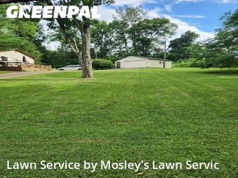 Lawn Cut nearby Clarksville, TN, 