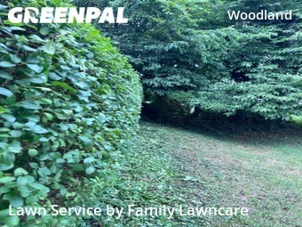 Lawn Cut nearby Lynchburg, VA, 