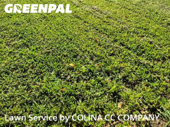 Lawn Care Service nearby Grapevine, TX, 