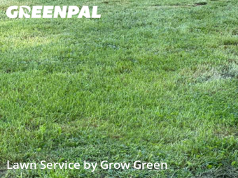 Yard Cutting nearby South Milwaukee, WI, 