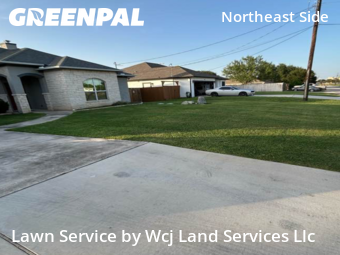Yard Cutting in Selma, 78154, Landscaping Maintenance by Wcj Land Services Llc, work completed in Oct , 2025