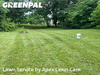 Lawn Maintenance nearby Georgetown, IN, 