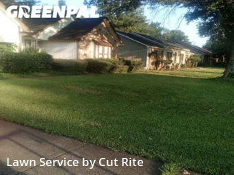 Lawn Cut nearby Memphis, AR, 