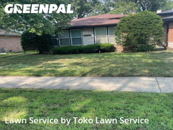 Yard Mowing nearby Dolton, IN, 