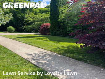 Lawn Maintenance nearby Lexington, KY, 