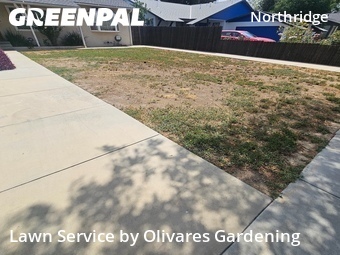 Lawn Mowing nearby Los Angeles, CA, 