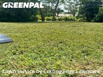 Lawn Mow nearby Vero Beach, FL, 