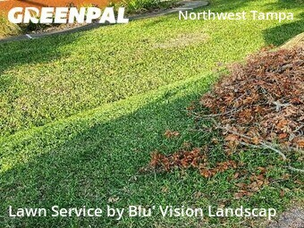 Yard Mowing nearby Tampa, FL, 