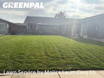 Work completed by yard-maintenance-professionals-in-Sacramento-CA