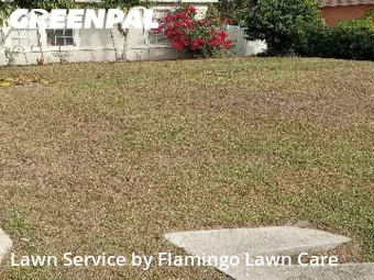 Landscaping Maintenance in Fort Myers, 33967, Lawn Services by Flamingo Lawn Care, work completed in Dec , 2025