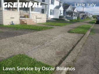 Lawn Cut nearby Endicott, NY, 