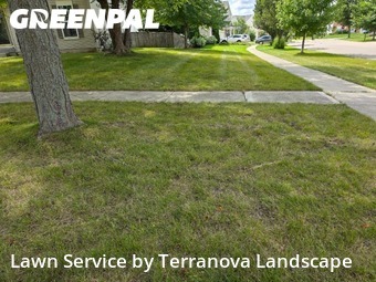 Yard Care Services in Carpentersville, 60110, Yard Care by Terranova Landscape, work completed in Dec , 2025