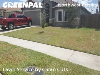 Lawn Cut nearby Corpus Christi, TX, 