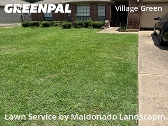 Grass Cut nearby Katy, TX, 