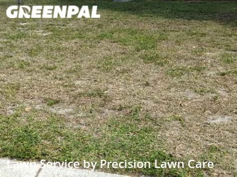 Yard Mowing nearby Saint Petersburg, FL, 