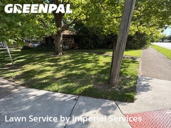 Lawn Cutting nearby Park Forest, IL, 