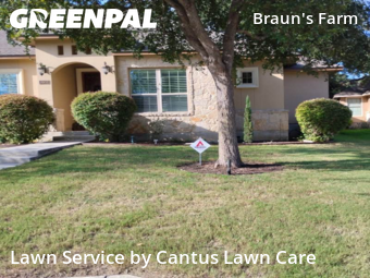 Grass Cutting nearby San Antonio, TX, 