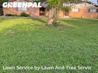 Grass Cutting nearby Helotes, TX, 