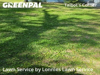 Lawn Care Service nearby Nashville, TN, 