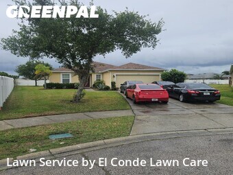Grass Cut nearby Kissimmee, FL, 