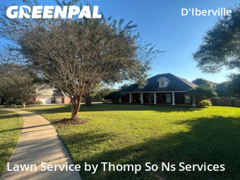 Landscaping Cleanup In Mobile,36619,Landscape Design by Thomp So Ns Services, work completed in Nov , 2025