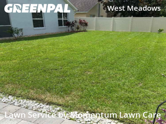 Yard Cutting nearby Tampa, FL, 