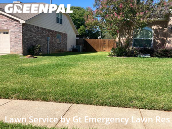 Grass Cutting nearby Corinth, TX, 