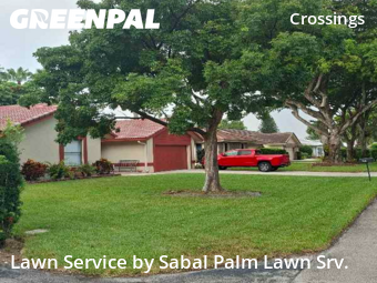 Lawn Management in Coral Springs, 33065, Turf Services by Sabal Palm Lawn Srv., work completed in Nov , 2025