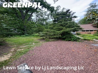 Lawn Cut nearby Media, DE, 