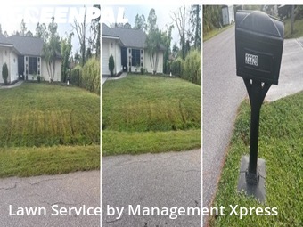 Yard Mowing nearby Port Charlotte, FL, 