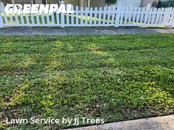 Grass Cutting nearby Clearwater, FL, 