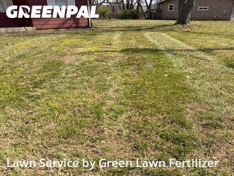 Yard Cutting nearby Springfield, MO, 