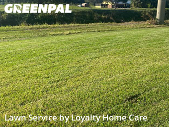 Lawn Cut nearby Melbourne, FL, 