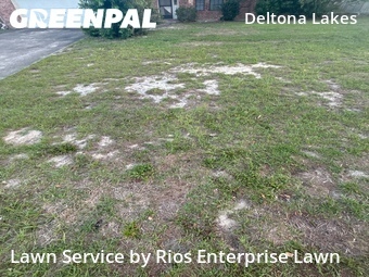 Grass Cut nearby Deltona, FL, 