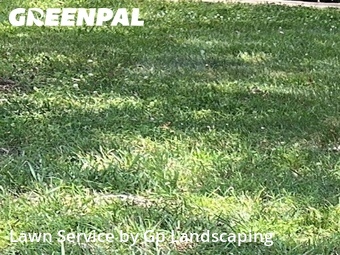 Lawn Care Service nearby Charlotte, NC, 