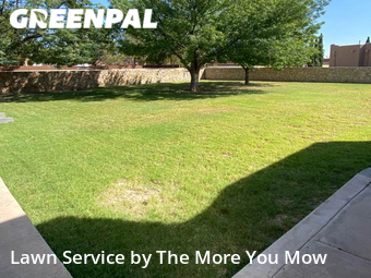 Lawn Mowing Service nearby Socorro, TX, 