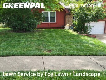 Lawn Mowing nearby Olathe, KS, 